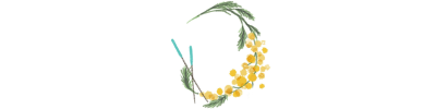 鍼灸サロンmimosa