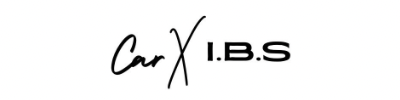 Car X I.B.S【輸入車鈑金・整備・車検】