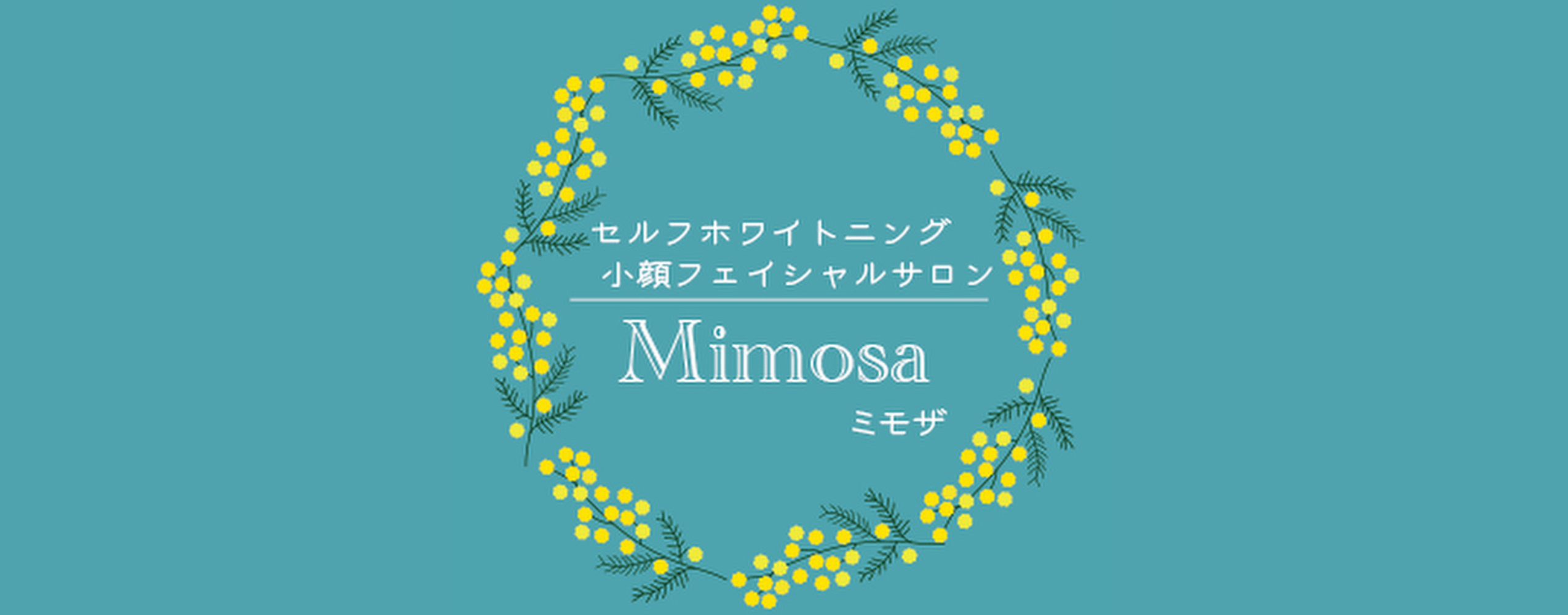 Mimosa(ミモザ)